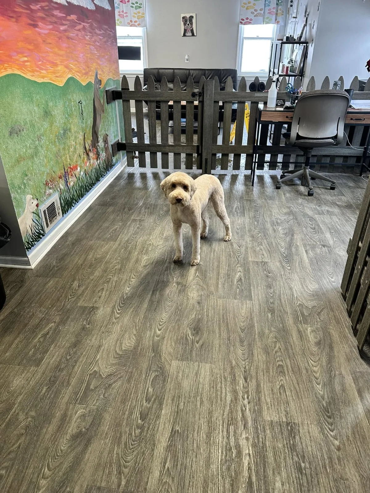 The grooming room with its painted sunset mural and picket fence